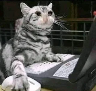 😭 emoji Грустные коты by @SL1Z Telegram sticker 21 of 48