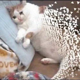😭 emoji Грустные коты by @SL1Z Telegram sticker 16 of 48