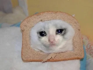 😭 emoji Грустные коты by @SL1Z Telegram sticker 8 of 48