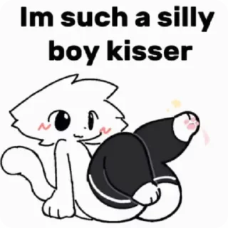 Sticker from boykisser