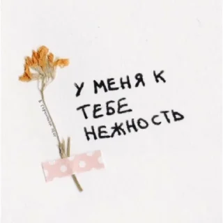 Sticker from @oksi_forest в горчичном лесу