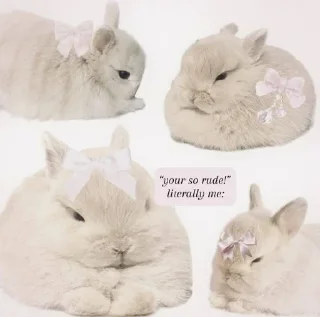 ⭐️ emoji 🐇🐇  @bunnni2 @IovergurI Telegram sticker 20 of 26