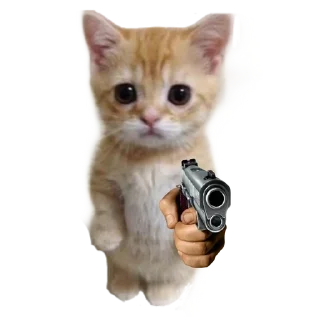 🐱 emoji Больше стиков тут: @stikery4 Telegram sticker 6 of 16