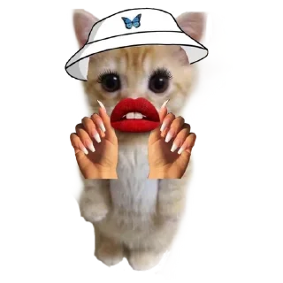 🐱 emoji Больше стиков тут: @stikery4 Telegram sticker 8 of 16