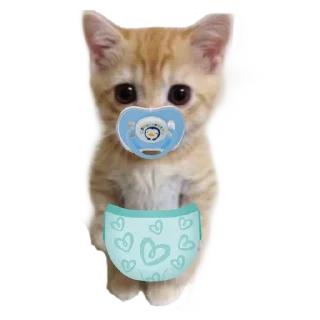 🐱 emoji Больше стиков тут: @stikery4 Telegram sticker 14 of 16