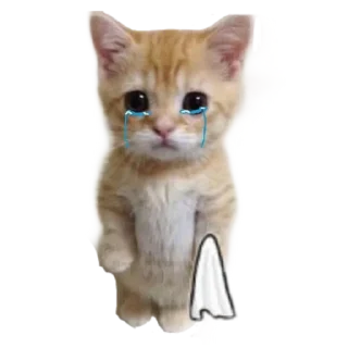 🐱 emoji Больше стиков тут: @stikery4 Telegram sticker 2 of 16