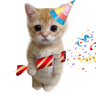 🐱 emoji Больше стиков тут: @stikery4 Telegram sticker 3 of 16