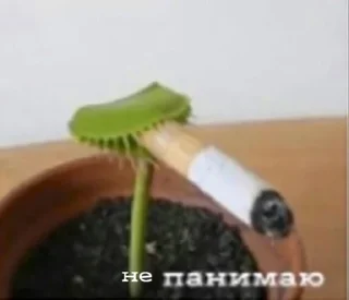 Sticker from хуета
