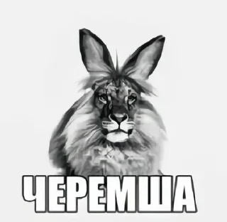 Sticker from Пиздец