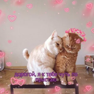 Sticker from ❤️