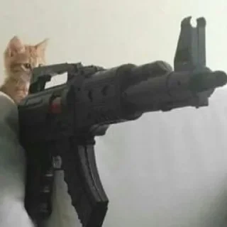 Sticker from котики