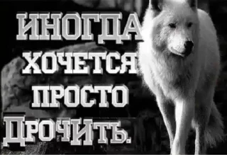 Sticker from Юджи
