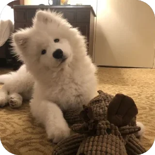 🫥 emoji собакены Telegram sticker 21 of 27