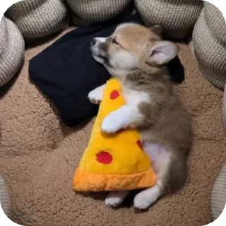 🫥 emoji собакены Telegram sticker 18 of 27