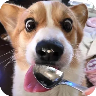 🫥 emoji собакены Telegram sticker 15 of 27