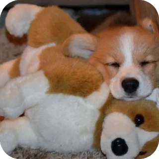 🫥 emoji собакены Telegram sticker 8 of 27