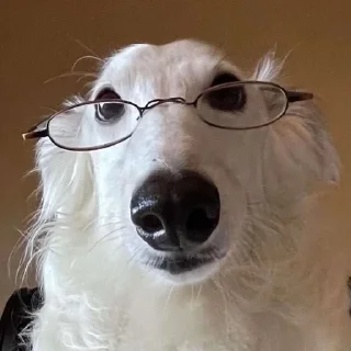 Sticker from borzoi