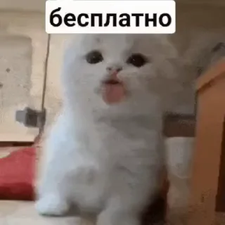 🆓 emoji Ээ🤡👺☠️💀🖕 Telegram sticker 18 of 37