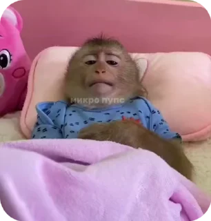 Sticker from Больше стикеров тут: @stickers_memy