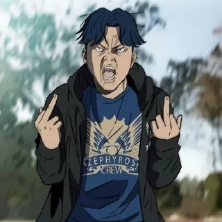 🖕 emoji windbreaker от @gyleq Telegram sticker 17 of 30