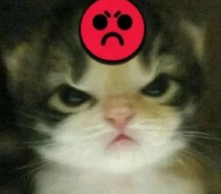 Sticker from котята🥰