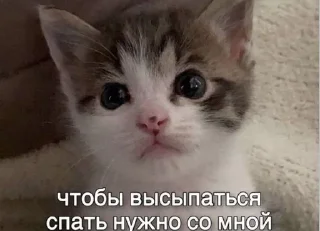 Sticker from крутышки