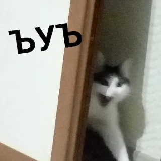 Sticker from ъуъ