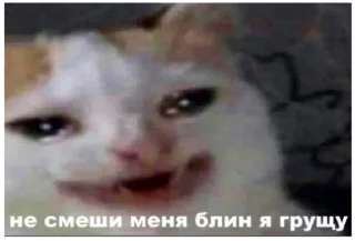 😁 emoji ЪуЪ Telegram sticker 16 of 74