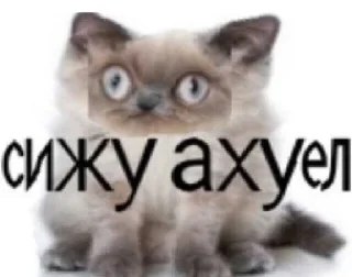 😱 emoji ЪуЪ Telegram sticker 4 of 74