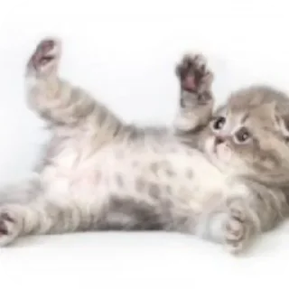👍 emoji @STICKRULE <- БОЛЬШЕ Telegram sticker 7 of 29