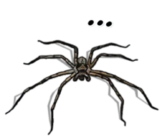 Sticker from Spiders Time @stickersb2b