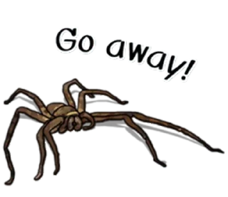 Sticker from Spiders Time @stickersb2b