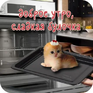 🐱 emoji incognito lover Telegram sticker 9 of 34