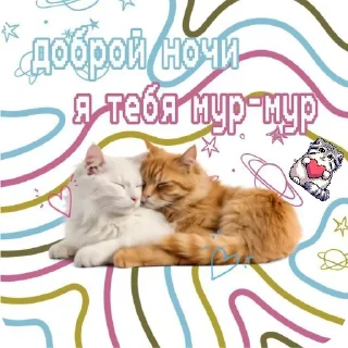 🐱 emoji incognito lover Telegram sticker 10 of 34