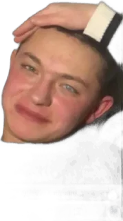 Sticker from арнольд не пидор