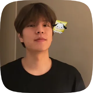 🌟 emoji Сынмин от @nikiikor Telegram sticker 12 of 47