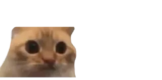 😐 emoji Личный пак by Акиро @akirohills0tg Telegram sticker 24 of 68