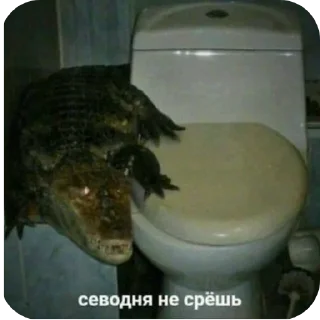 Sticker from мне кажется или swag