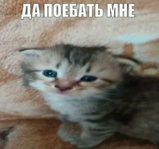🌟 emoji Пак клонов Райана Telegram sticker 14 of 36