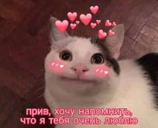 ♥ emoji love Telegram sticker 19 of 120