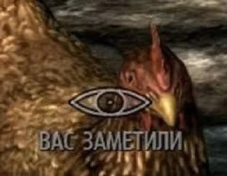 Sticker from Скайрим мем