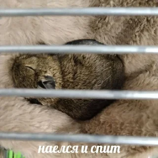 Sticker from микрочелики