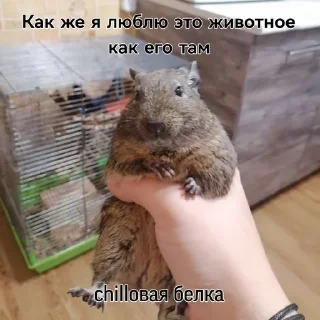 Sticker from микрочелики