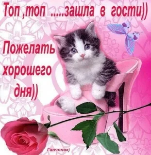 Sticker from картиночки