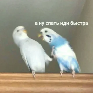 🌟 emoji Чебуречная Telegram sticker 6 of 102