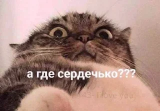 🌟 emoji Чебуречная Telegram sticker 10 of 102