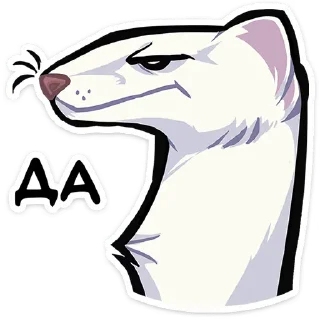 😌 emoji @stickersvvk Горностай Гера Telegram sticker 17 of 49
