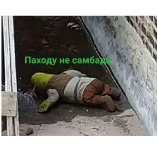 Sticker from шрекси