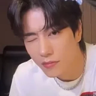 Sticker from Zhang Peng Cobi Jacob VAV