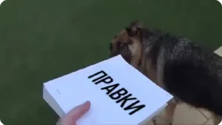 Sticker from BDMeme